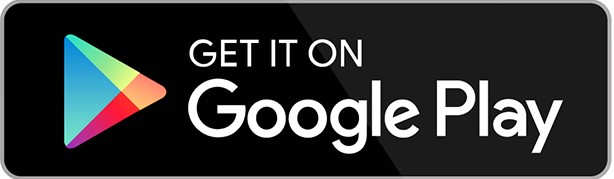 LanguageFast bei Google Play laden