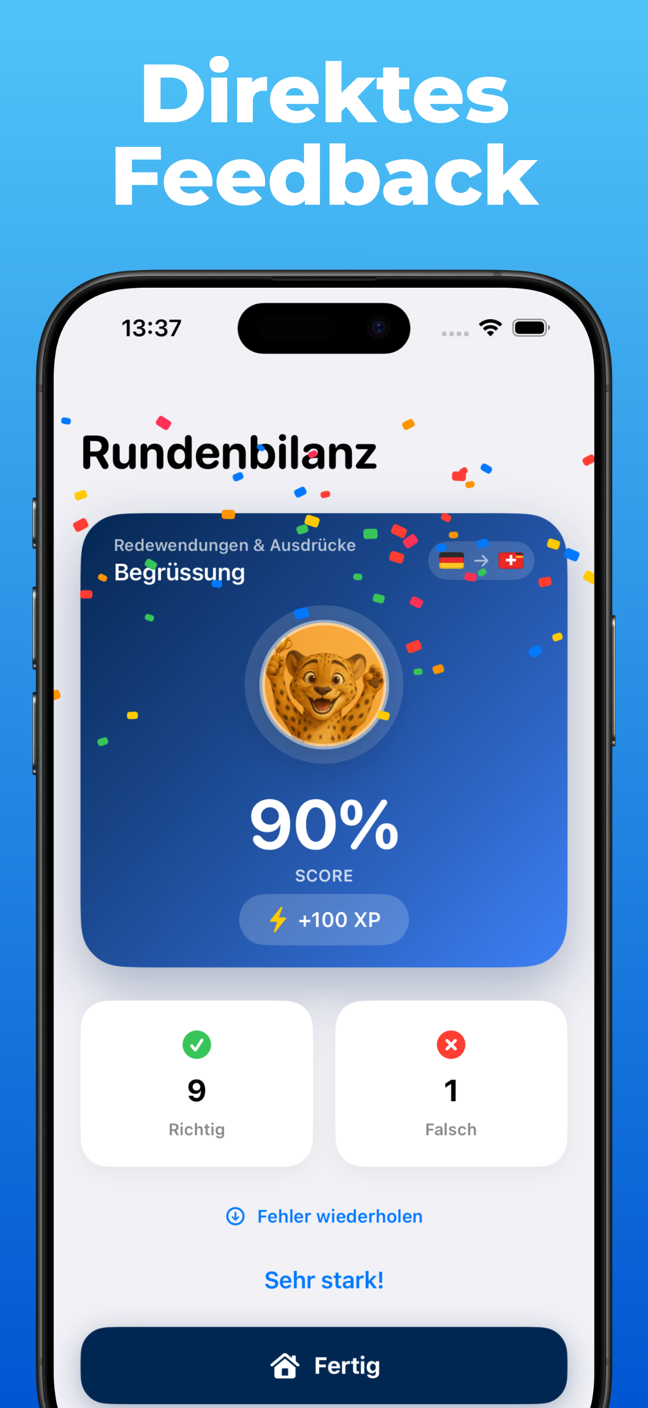 LanguageFast App – Fortschritt und Statistiken