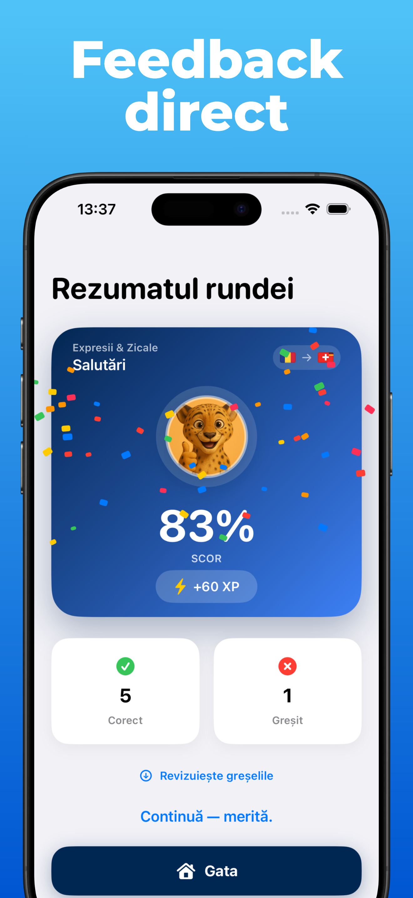 Aplicația LanguageFast – progres și statistici